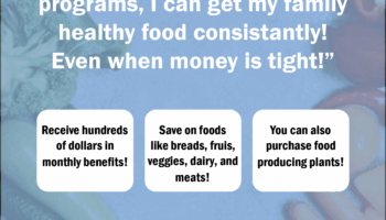 Supporting Each Other