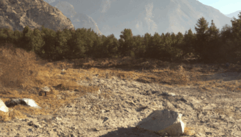 Me, I Wanted Acceptance (A Poem)