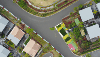 My Dream is to Dismantle Bullsh!t