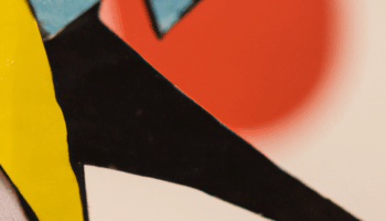 Finding a Home in One’s Changing Skin