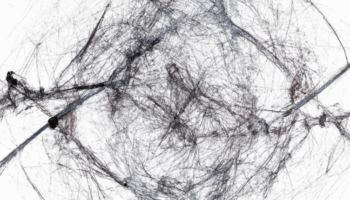 I Dream of Being Better at Being Uncomfortable