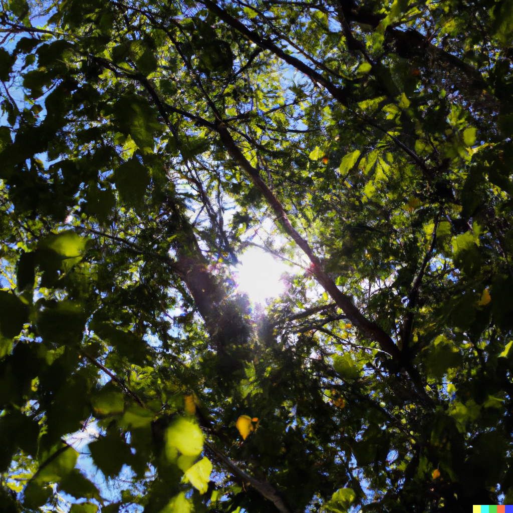 Status and Inequality