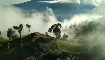 Change What We Consider “Normal”