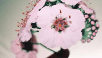 Marriage Doesn’t Fit Me